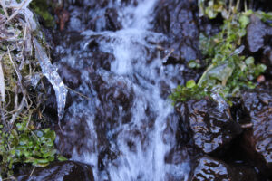 寒ざらしそば　大西製粉