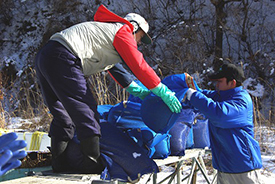 浅間山麓産玄そばを樽の中に入れる