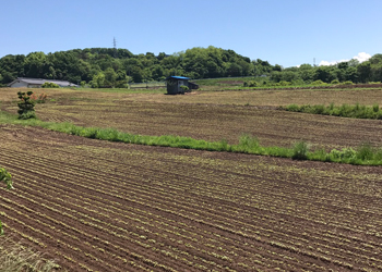 霧下そば